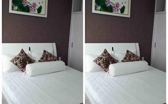 apartment for rent in district 2 D2141208 (5)